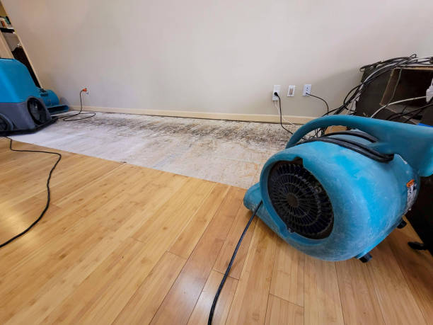 Professional Flood Damage Cleanup technician working in Gordonsville, TN